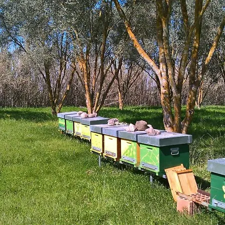 Terra E Paglia 3* Marrùbiu