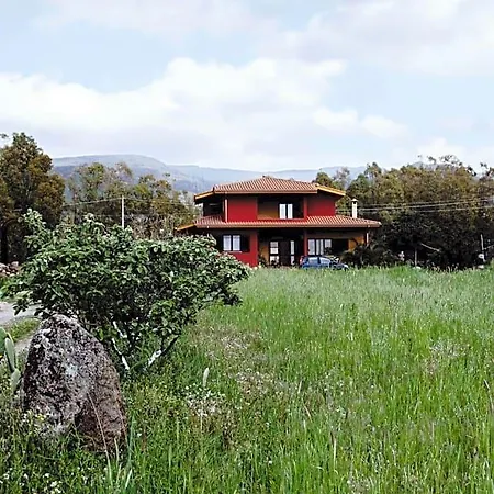 Terra E Paglia